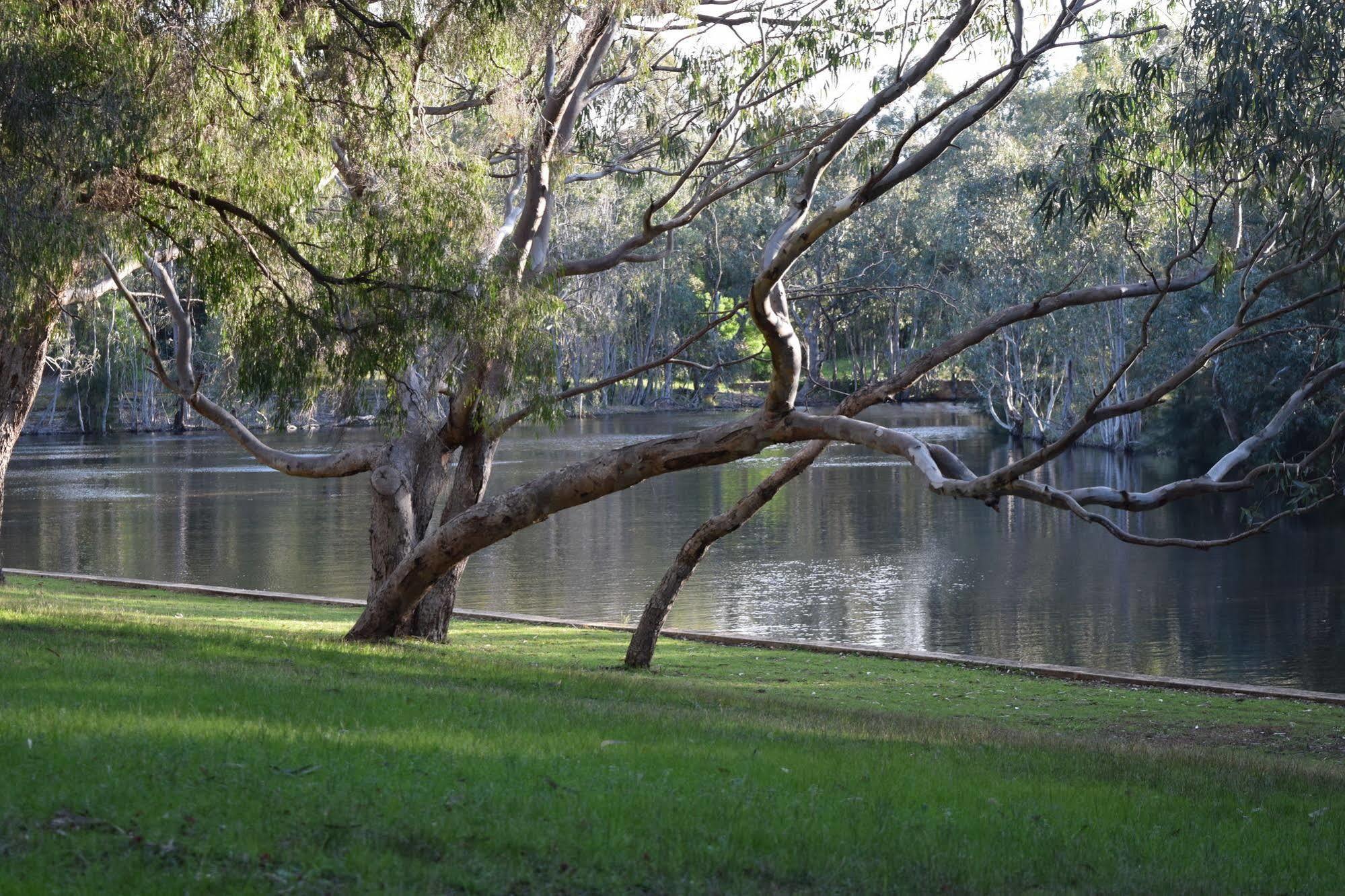 Bushy Lodge Margaret River